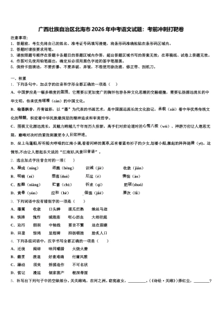 广西壮族自治区北海市2026年中考语文试题：考前冲刺打靶卷含解析