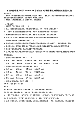 广西南宁市第八中学2025-2026学年初三下学期期末语文试题理试题分类汇编含解析