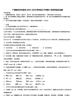 广西梧州市岑溪市2025-2026学年初三下学期5月月考语文试题含解析