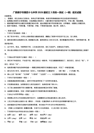 广西南宁市第四十七中学2026届初三3月统一测试（一模）语文试题含解析
