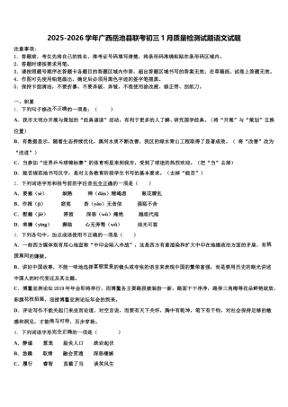 2025-2026学年广西岳池县联考初三1月质量检测试题语文试题含解析