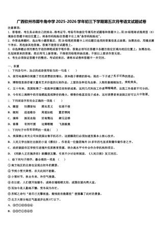 广西钦州市犀牛角中学2025-2026学年初三下学期第五次月考语文试题试卷含解析
