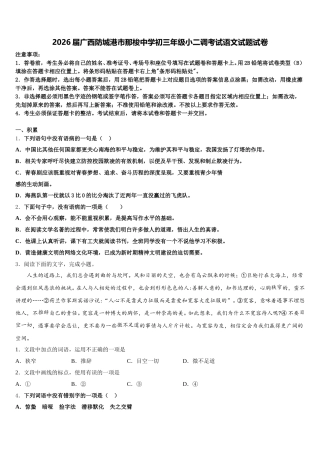 2026届广西防城港市那梭中学初三年级小二调考试语文试题试卷含解析