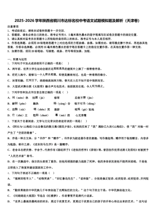 2025-2026学年陕西省铜川市达标名校中考语文试题模拟题及解析（天津卷）含解析