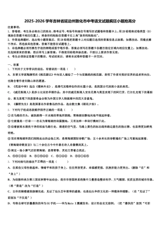 2025-2026学年吉林省延边州敦化市中考语文试题疯狂小题抢高分含解析