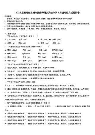 2026届云南省昆明市云南师范大实验中学5月统考语文试题试卷含解析