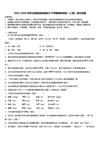 2025-2026学年云南省施甸县初三下学期调研测试（二模）语文试题含解析
