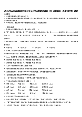 2026年云南省镇康县市级名校6月初三押题测试卷（1）语文试题（理工农医类）试题含解析