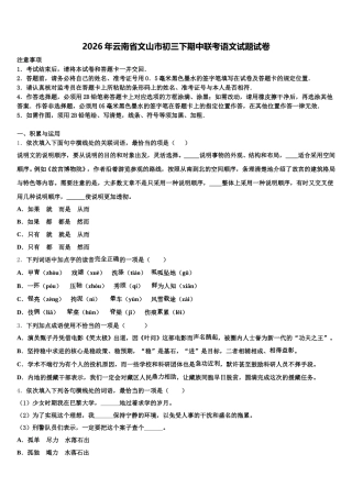 2026年云南省文山市初三下期中联考语文试题试卷含解析