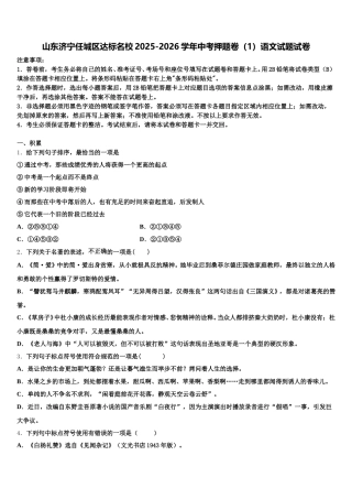 山东济宁任城区达标名校2025-2026学年中考押题卷（1）语文试题试卷含解析