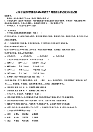 山东省临沂市沂南县2026年初三5月适应性考试语文试题试卷含解析