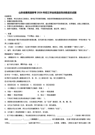 山东省惠民县联考2026年初三毕业班适应性训练语文试题含解析