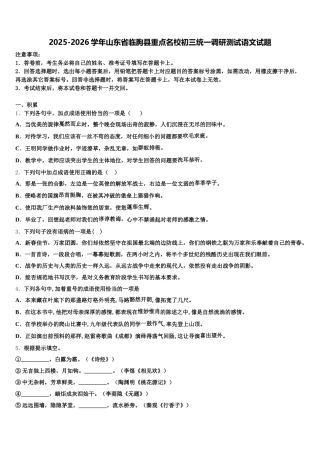 2025-2026学年山东省临朐县重点名校初三统一调研测试语文试题含解析