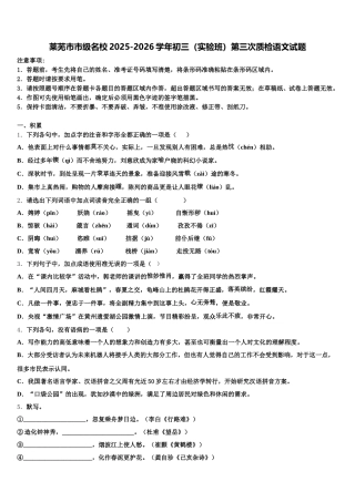 莱芜市市级名校2025-2026学年初三（实验班）第三次质检语文试题含解析