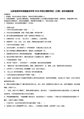 山东省滨州市卓越重点中学2026年初三模拟考试（三模）语文试题试卷含解析