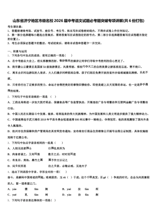 山东省济宁地区市级名校2026届中考语文试题必考题突破专项讲解(共6份打包)含解析