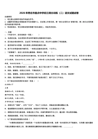 2026年枣庄市重点中学初三得分训练（二）语文试题试卷含解析