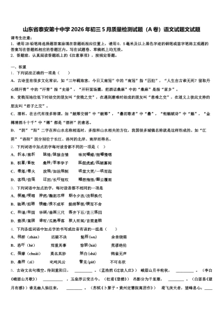 山东省泰安第十中学2026年初三5月质量检测试题（A卷）语文试题文试题含解析