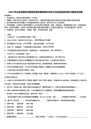 2026年山东省泰安市肥城市湖屯镇初级中学初三毕业班适应性练习卷语文试题含解析
