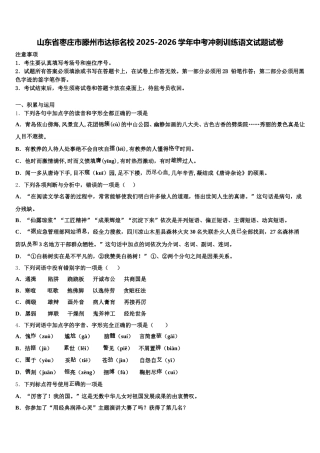 山东省枣庄市滕州市达标名校2025-2026学年中考冲刺训练语文试题试卷含解析