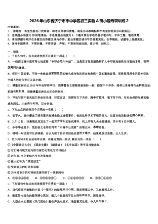 2026年山东省济宁市市中学区初三实验A班小题专项训练2含解析