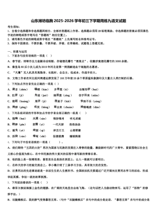 山东潍坊临朐2025-2026学年初三下学期周练九语文试题含解析