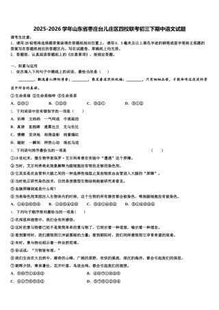 2025-2026学年山东省枣庄台儿庄区四校联考初三下期中语文试题含解析