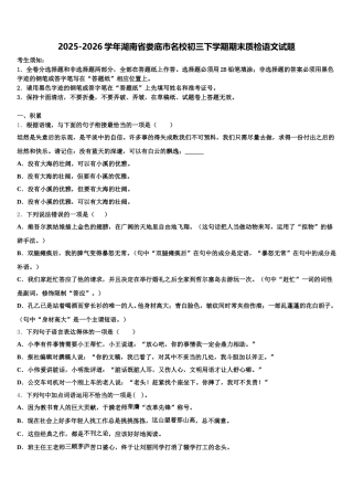 2025-2026学年湖南省娄底市名校初三下学期期末质检语文试题含解析