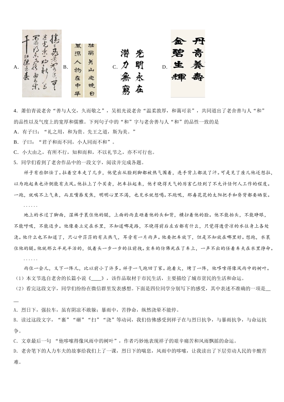 安徽阜阳市2026届初三期中考试语文试题含解析_第3页