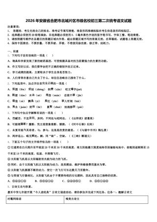 2026年安徽省合肥市北城片区市级名校初三第二次统考语文试题含解析