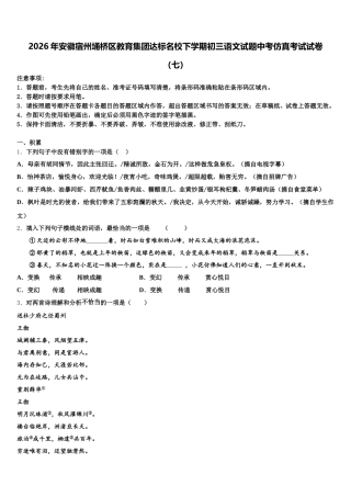 2026年安徽宿州埇桥区教育集团达标名校下学期初三语文试题中考仿真考试试卷（七）含解析