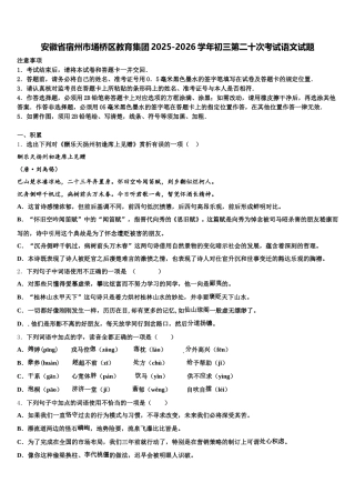 安徽省宿州市埇桥区教育集团2025-2026学年初三第二十次考试语文试题含解析