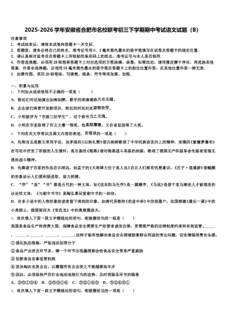 2025-2026学年安徽省合肥市名校联考初三下学期期中考试语文试题（B）含解析