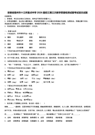 安徽省宿州市十三所重点中学2026届初三第三次教学质量检测试题考试语文试题含解析
