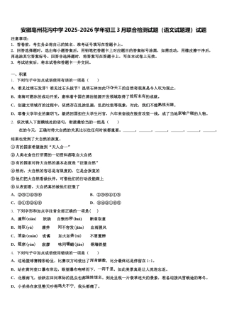 安徽亳州花沟中学2025-2026学年初三3月联合检测试题（语文试题理）试题含解析