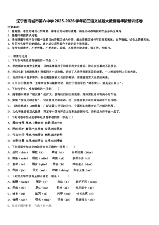 辽宁省海城市第六中学2025-2026学年初三语文试题大数据精华浓缩训练卷含解析