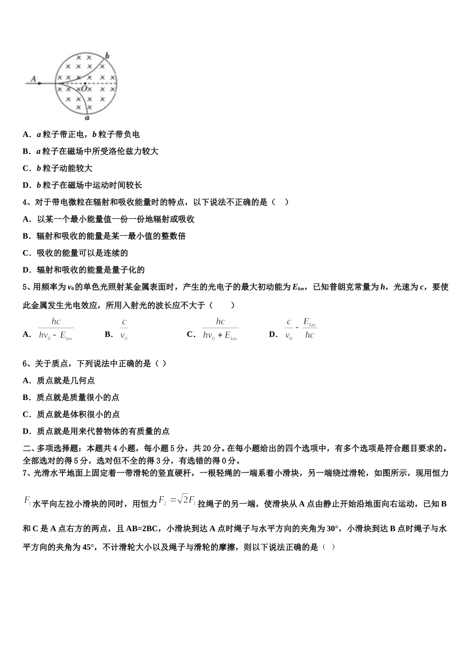 江苏省苏州实验中学教育集团2025届高二物理第二学期期中考试试题含解析_第2页