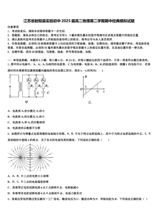 江苏省射阳县实验初中2025届高二物理第二学期期中经典模拟试题含解析