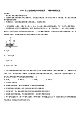 2025年江苏省兴化一中物理高二下期中预测试题含解析