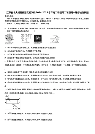 江苏省北大附属宿迁实验学校2024-2025学年高二物理第二学期期中达标检测试题含解析