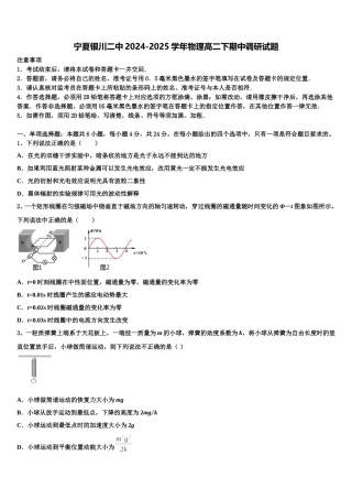 宁夏银川二中2024-2025学年物理高二下期中调研试题含解析