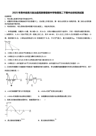 2025年贵州省务川自治县民族寄宿制中学物理高二下期中达标检测试题含解析