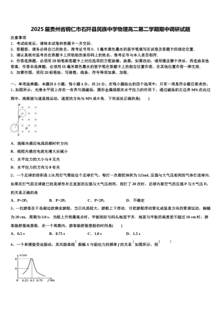 2025届贵州省铜仁市石阡县民族中学物理高二第二学期期中调研试题含解析