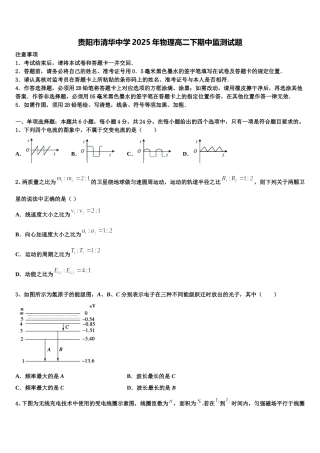 贵阳市清华中学2025年物理高二下期中监测试题含解析