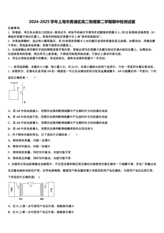 2024-2025学年上海市黄浦区高二物理第二学期期中检测试题含解析