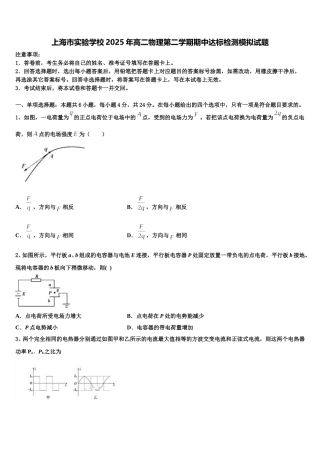 上海市实验学校2025年高二物理第二学期期中达标检测模拟试题含解析