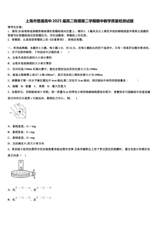 上海市普通高中2025届高二物理第二学期期中教学质量检测试题含解析