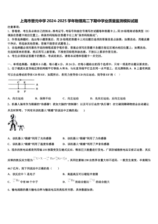 上海市晋元中学2024-2025学年物理高二下期中学业质量监测模拟试题含解析