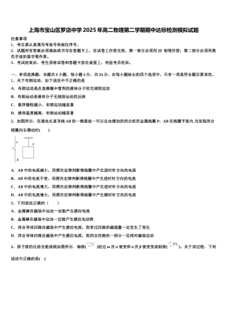 上海市宝山区罗店中学2025年高二物理第二学期期中达标检测模拟试题含解析