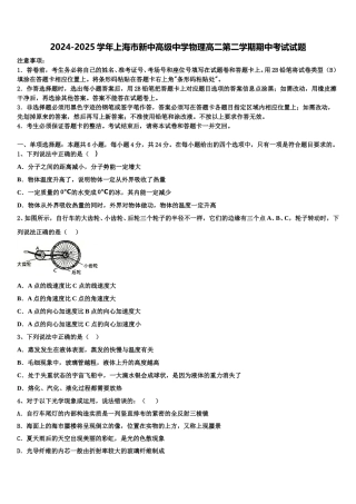 2024-2025学年上海市新中高级中学物理高二第二学期期中考试试题含解析